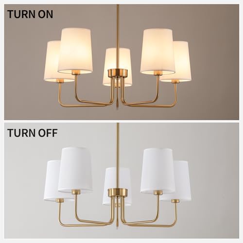 Chandelier with Shade