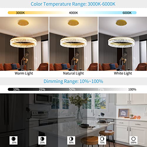 Modern LED Chandelier 1 Ring 19.7in Pendant Lighting for Kitchen Island 50W Dimmable LED Pendant Ceiling Light Gold Hanging Light Fixtures with Remote for Kitchen Dining Room Bedroom Living Room