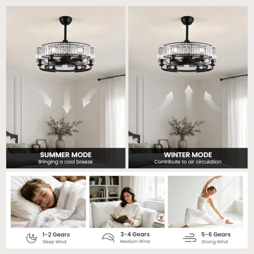Modern Ceiling Fan with Light for Dining Living Room Bedroom Kitchen