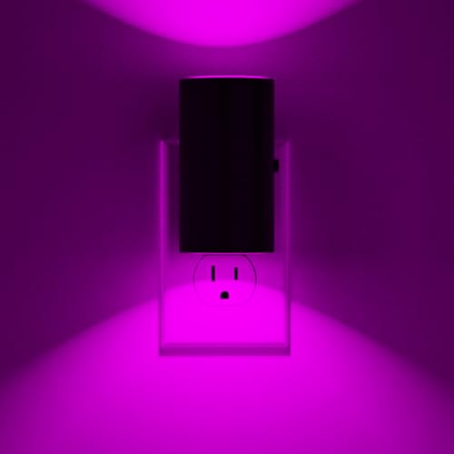 Night Light Plug into Wall