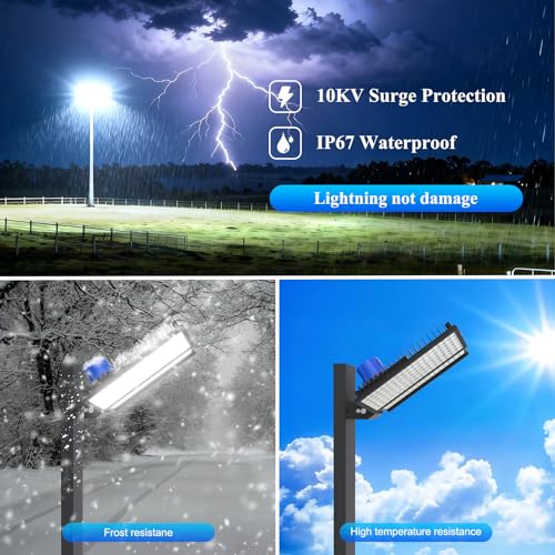 300W Dusk to Dawn Outdoor Light (100W*3-DTD)