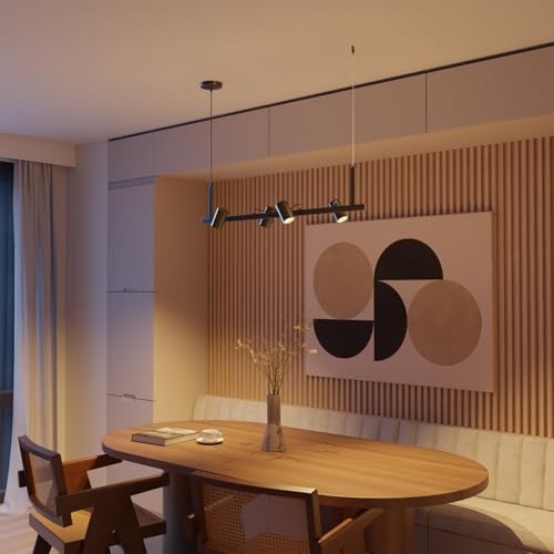 Suspended Track Lighting (Matte Black, Asimov)