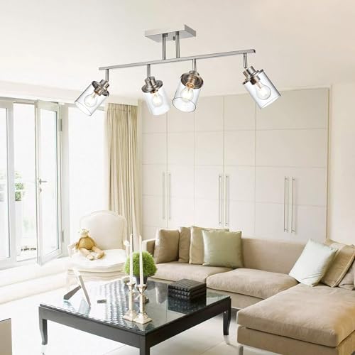 4 Lights Directional Ceiling Light Fixtures with Flexibly Rotatable Light Head Brushed Nickel Bathroom Lights Modern Complete Track Lighting Kits with Clear Glass Shade (Brushed Nickel / 4-Light)