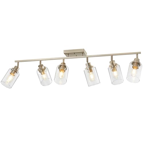 6 Light Brushed Nickel Track Lighting Kit with Clear Glass (Brushed Nickel / 6-Light)
