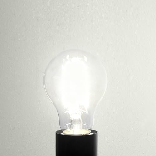 Vintage E26 Light Bulb