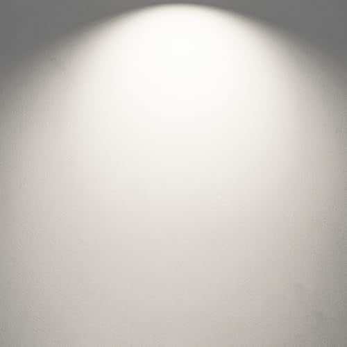 ST58 E26 LED Light Bulbs