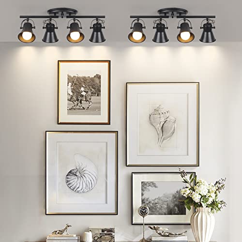 4 Light Track Lighting Kit (4-Light / Black)