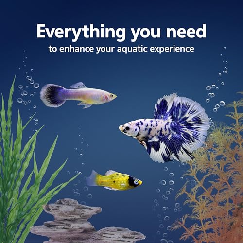 Aquarium Starter Kit with Smart Clean Filtration and LED Lighting (Black / 20 Gallon)