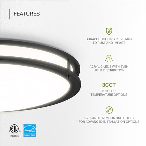 LED 18" Round Flush Mount Lighting (Black)