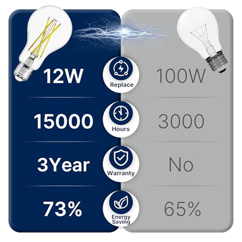 100W Eqv Dimmable A21 LED Bulbs (100w 5000k Daylight / 4 Count (Pack of 1))