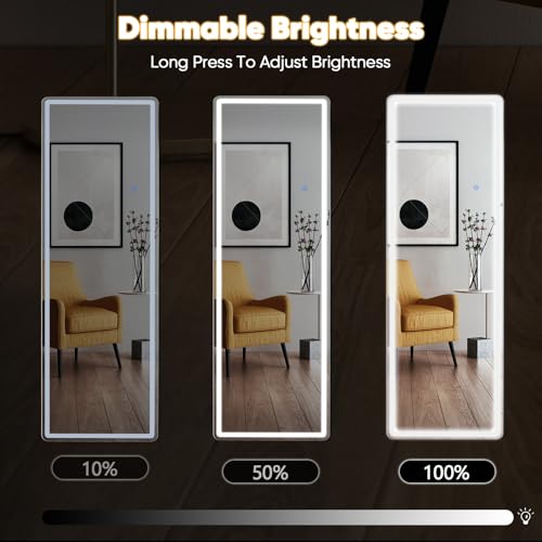 Full Length Mirror with Light (Led-rect / 64"L x 21"W)