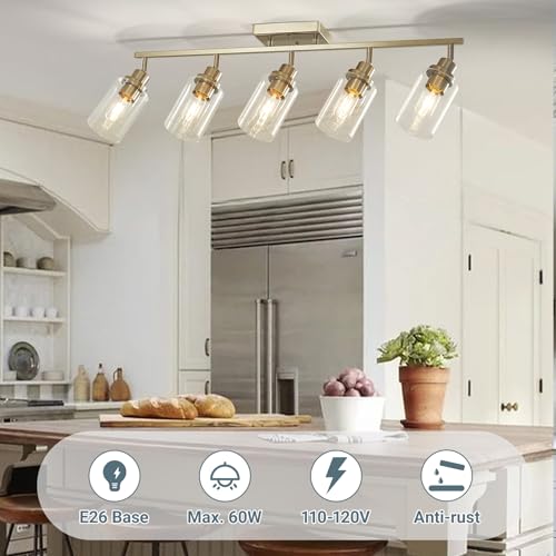 5 Light Brushed Nickel Track Lighting Kit with Clear Glass (Brushed Nickel / 5-Light)